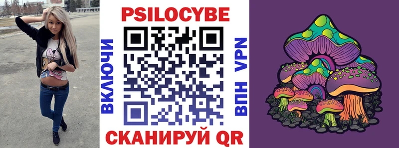 кракен онион  Пласт  Псилоцибиновые грибы Magic Shrooms 